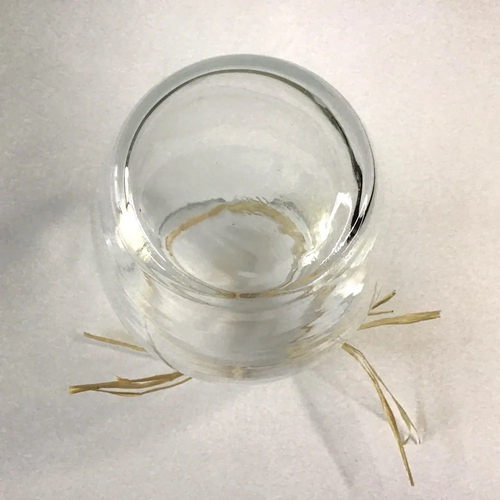 Clear Glass Vase with Natural Raffia Accent 7-3/4” Farmhouse Coastal Minimalist